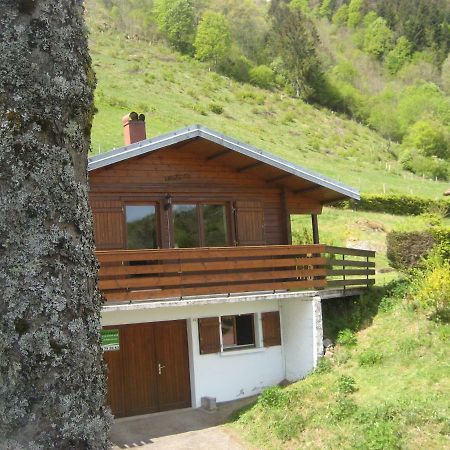 Chalet Les Jonquilles La Bresse Zewnętrze zdjęcie