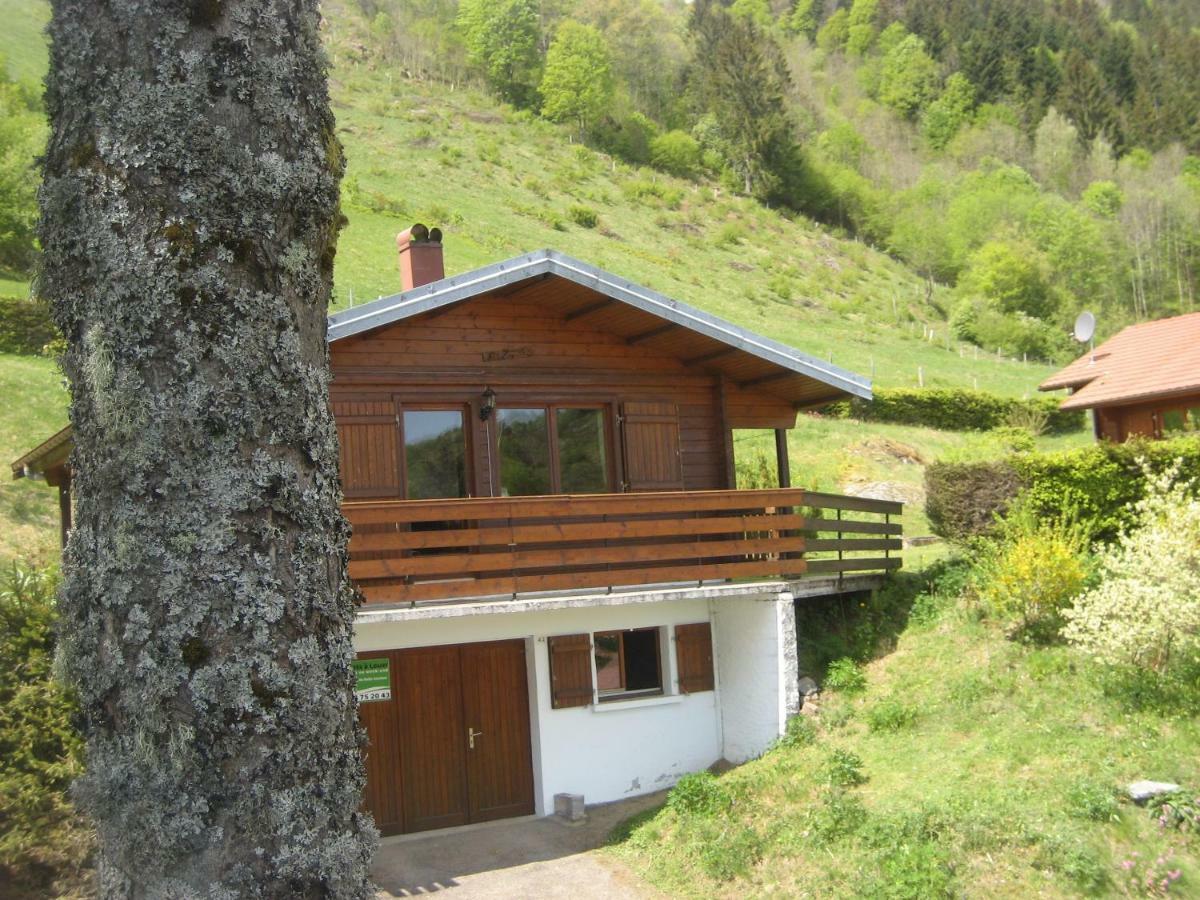 Chalet Les Jonquilles La Bresse Zewnętrze zdjęcie