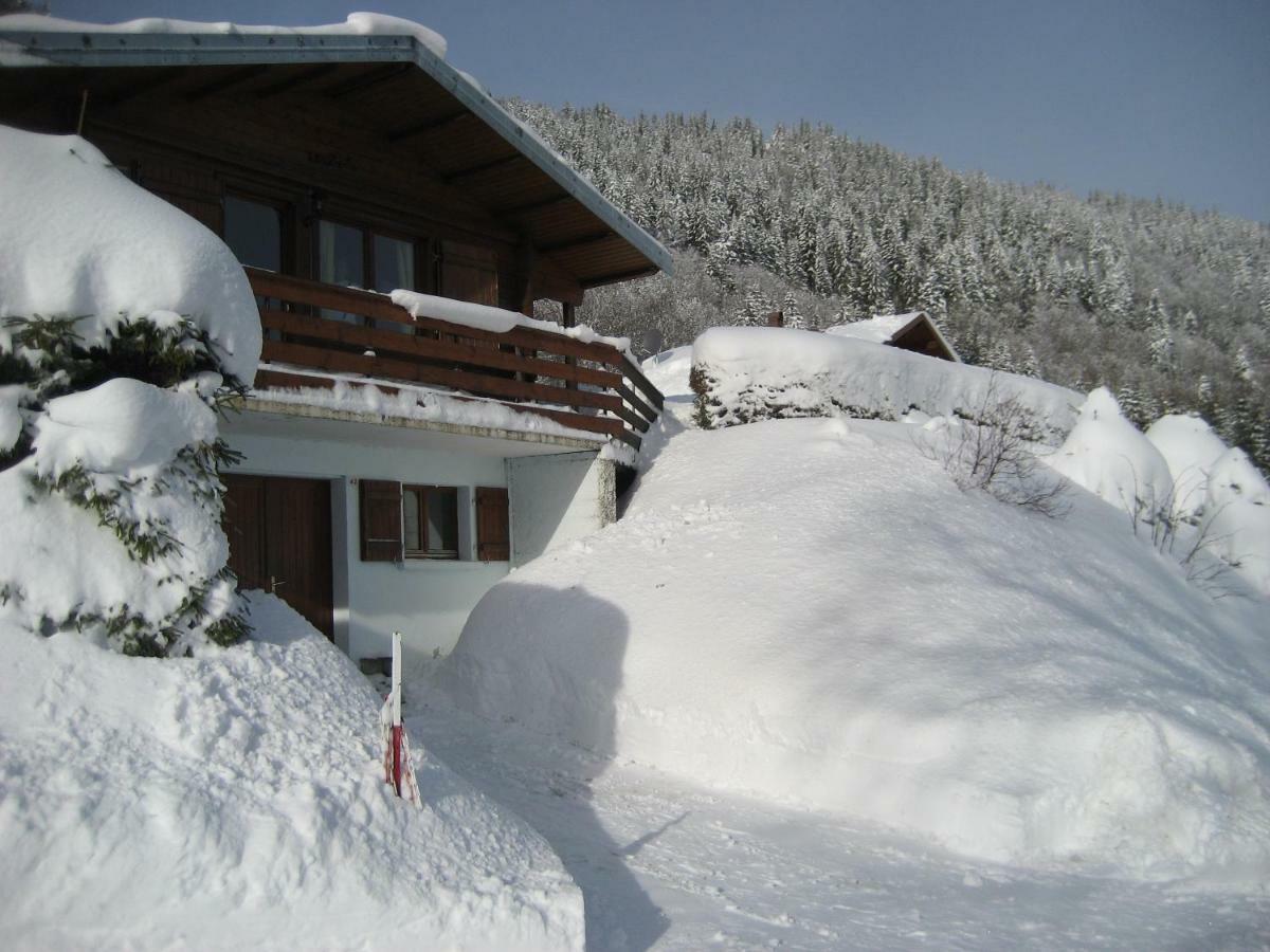 Chalet Les Jonquilles La Bresse Zewnętrze zdjęcie